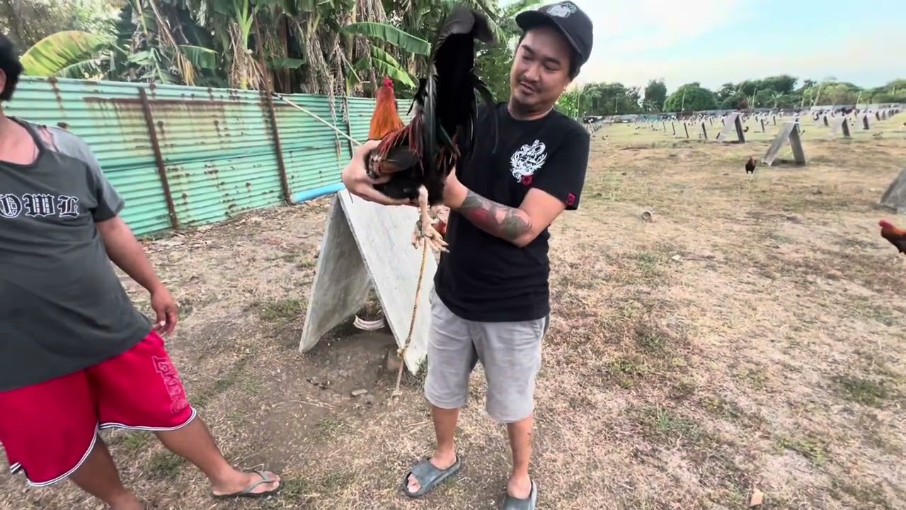 Domz 512 Gamefarm. Pag pickup ng materyales ang hirap pumili