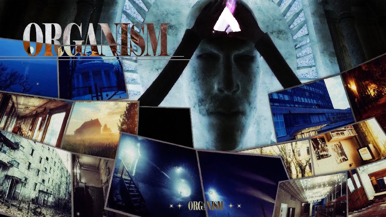 全てが謎に包まれた伝説級のワールド「ORGANISM」の真相【VRChat】