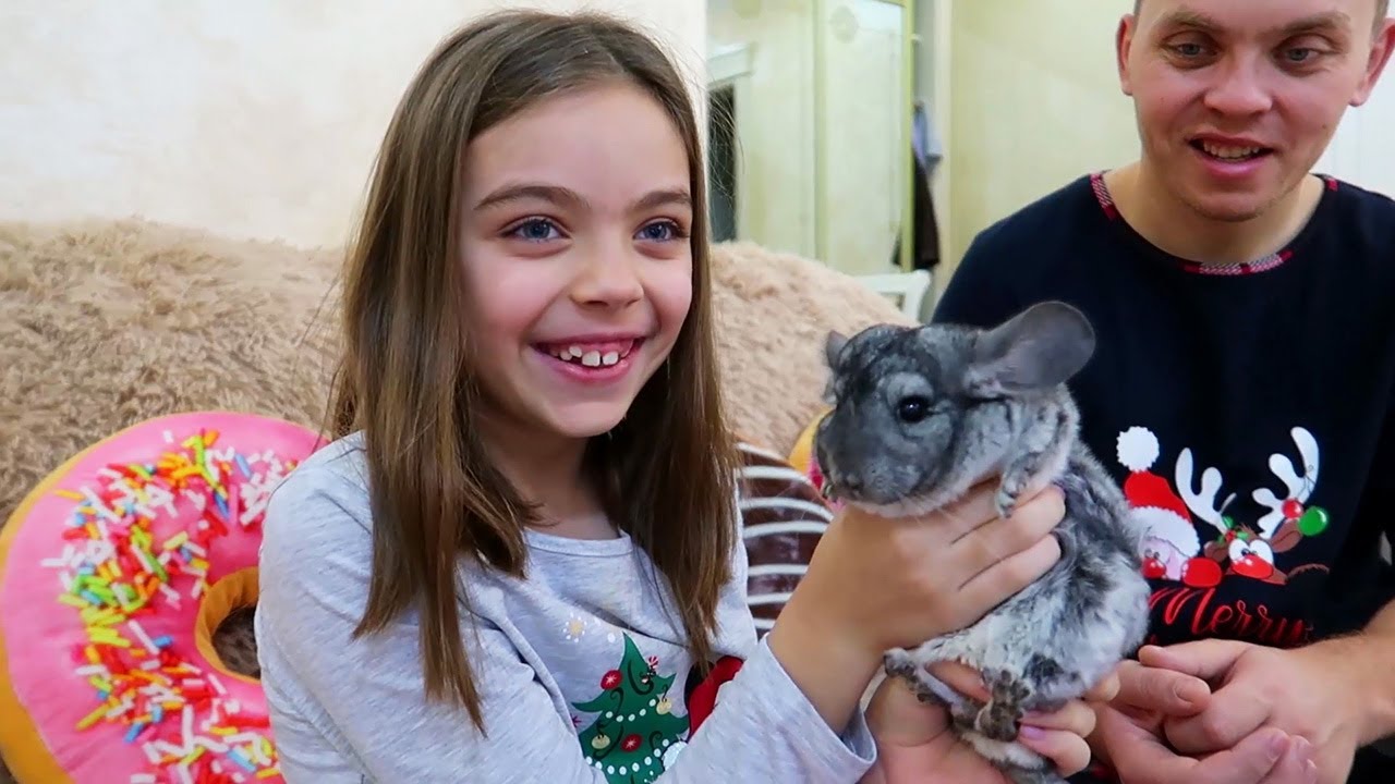 Jasmina si Chinchilla Fara Nume  | Surpriza la Ziua de Nastere