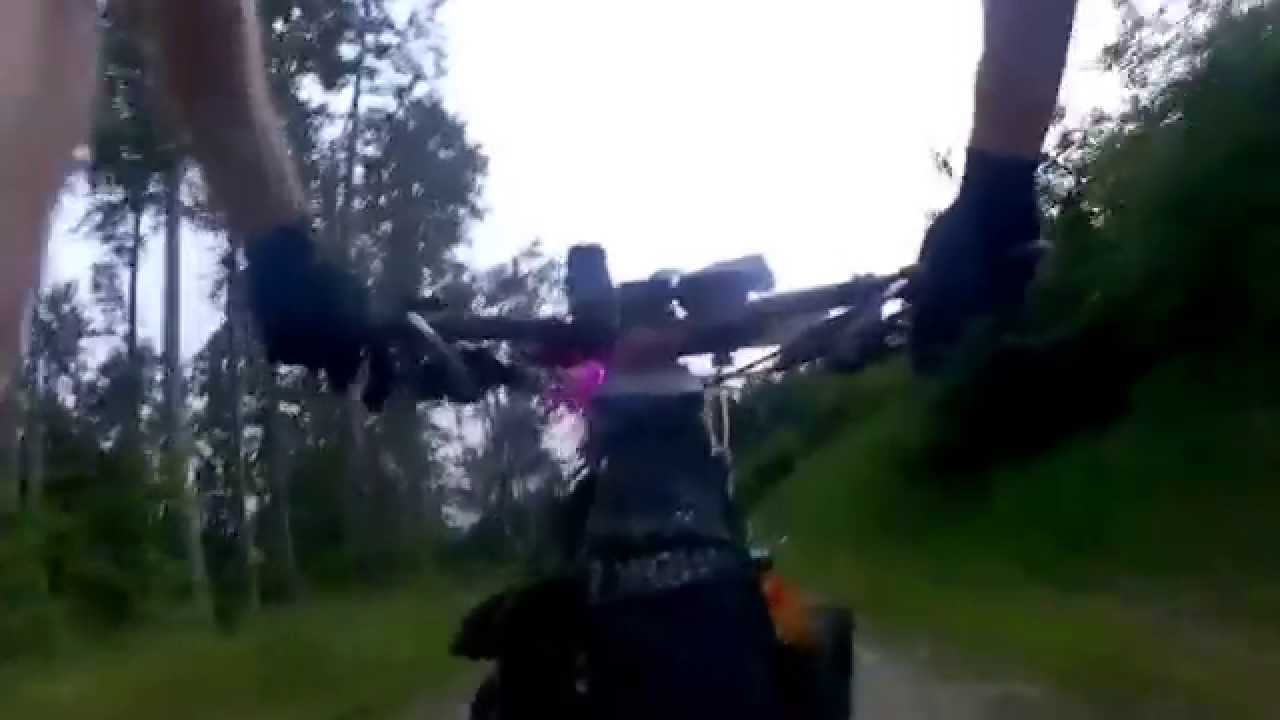 1000 mil - pátá málem srážka se srncem / srnkou