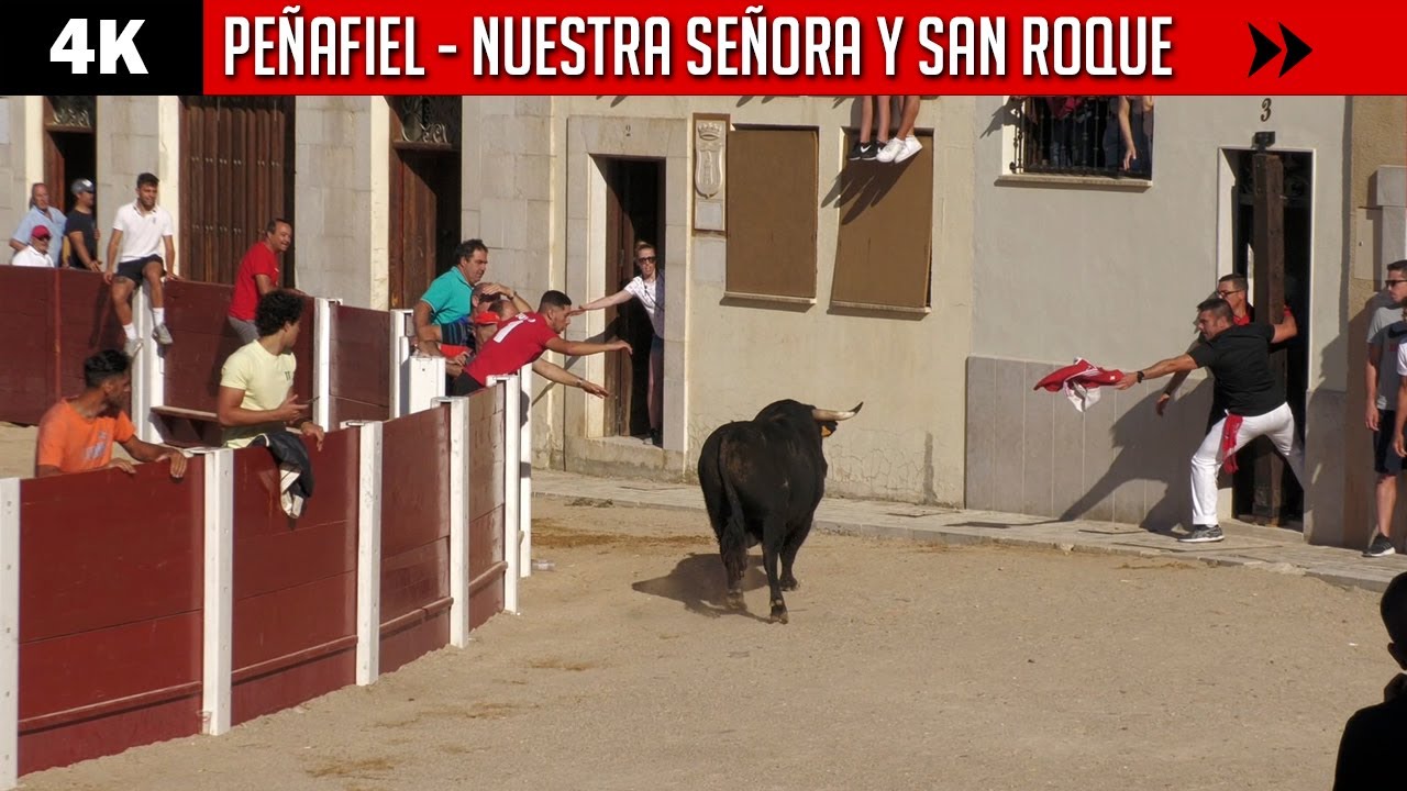 ▪ PEÑAFIEL ▪ Fiestas de Nuestra Señora y San Roque