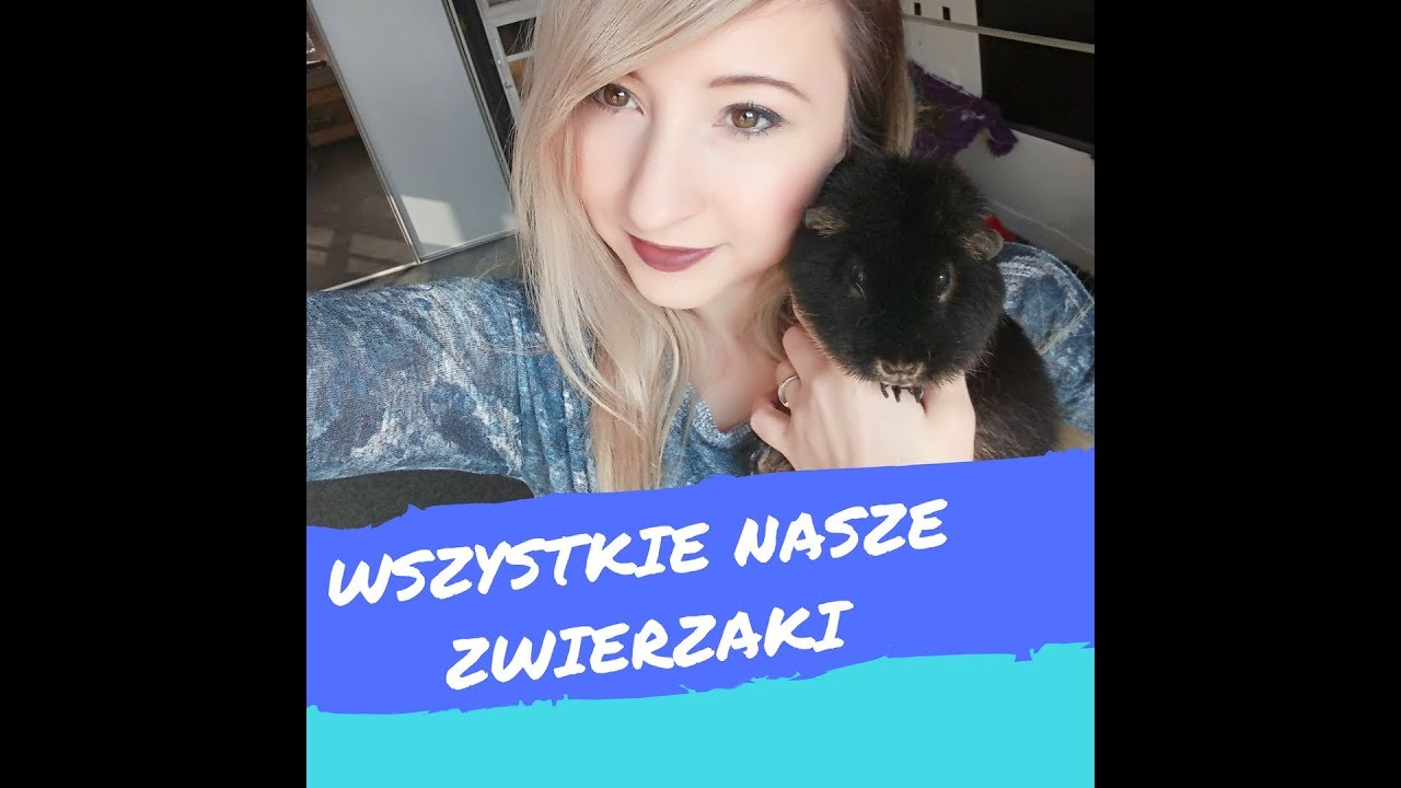 Poznajcie WSZYSTKIE nasze zwierzaki! swinkamorska.com.pl !