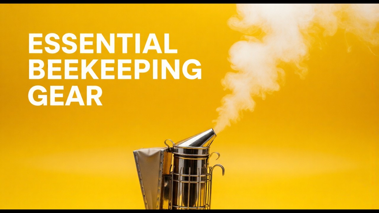 Beekeeping Gear for Beginners: What You Actually Need