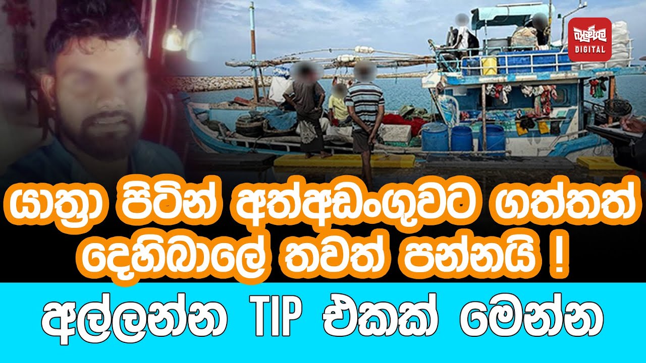 යාත්‍රා පිටින් අත්අඩංගුවට ගත්තත් දෙහිබාලේ තවත් පන්නයි !