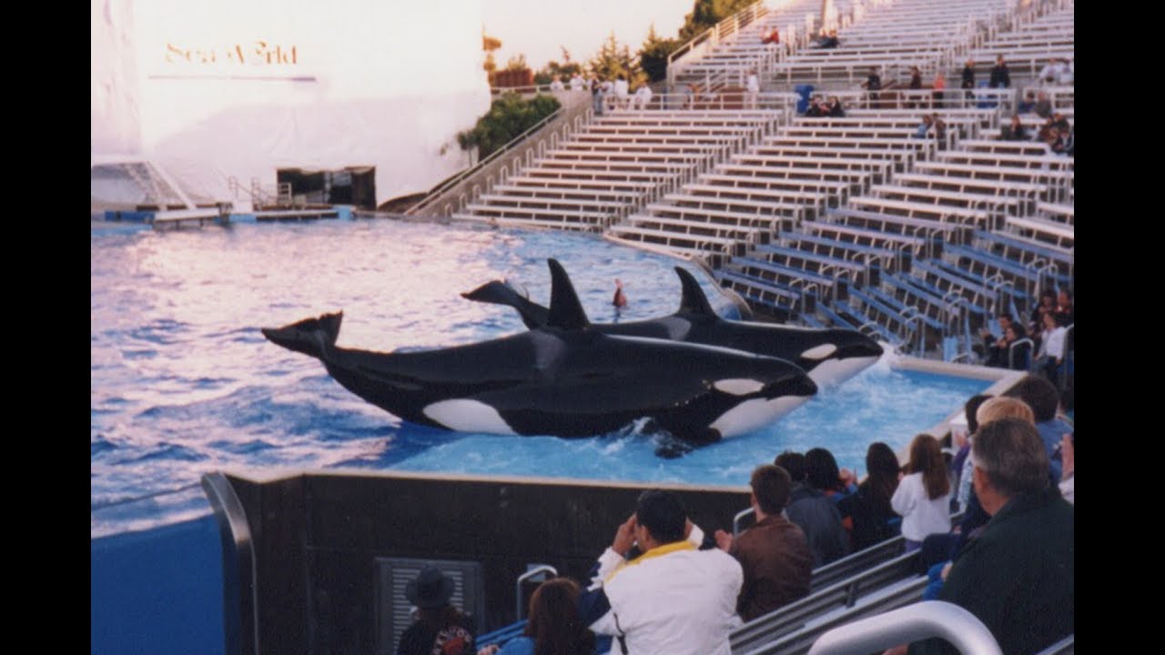 January 1998 Vacation