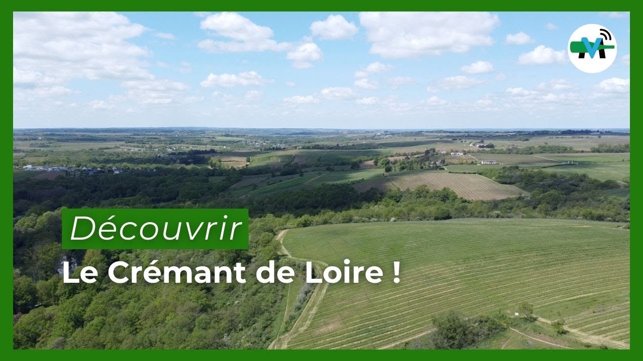Crémants de Loire | Le chenin au cœur de la bulle ligérienne