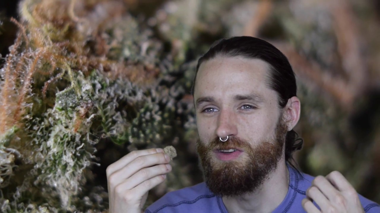 Snaps: Maui Wowie by Forbidden Farms