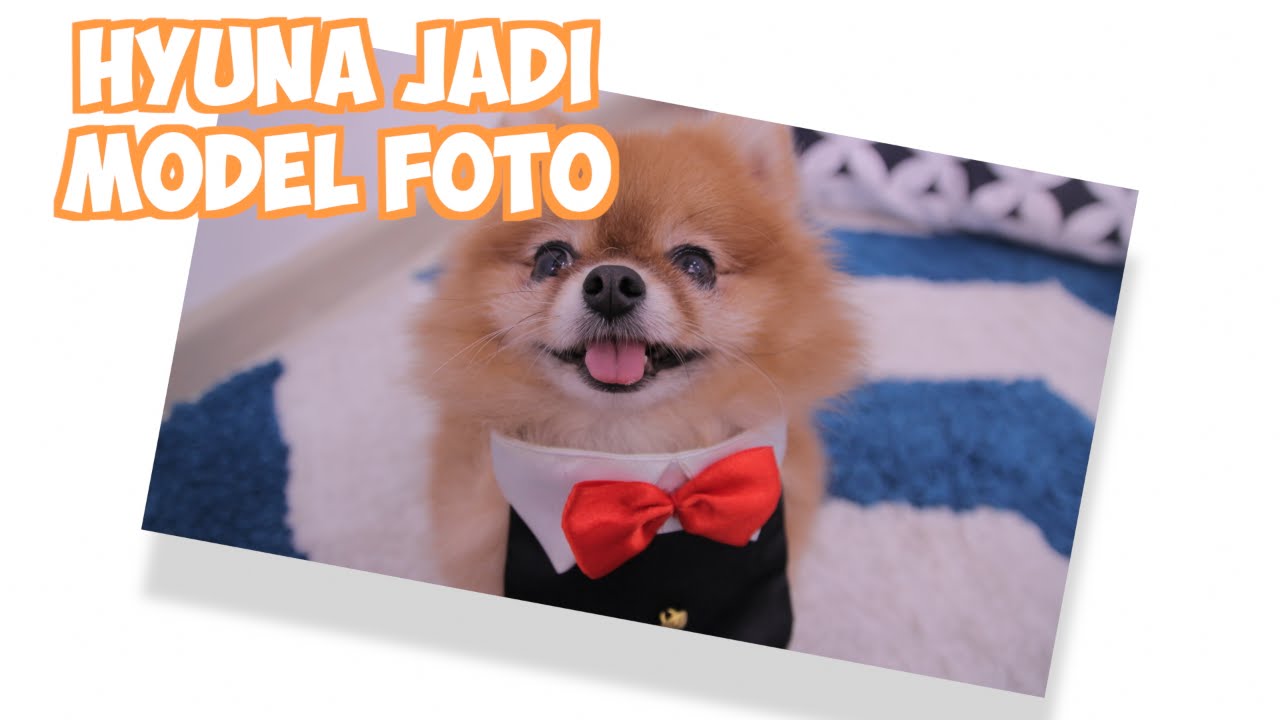 HYUNA JADI MODEL FOTO INSTAGRAM [vlog]