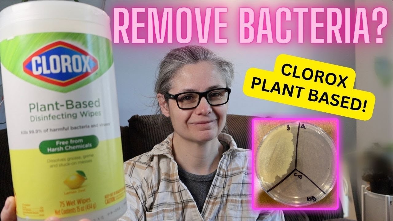 Clorox Plant Based Disinfecting Wipes Tested! Do they Remove Bacteria in My Home!?