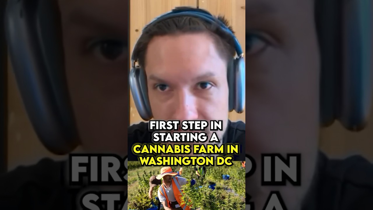 Lawyer Reveals How To Start A Cannabis Farm In Washington DC