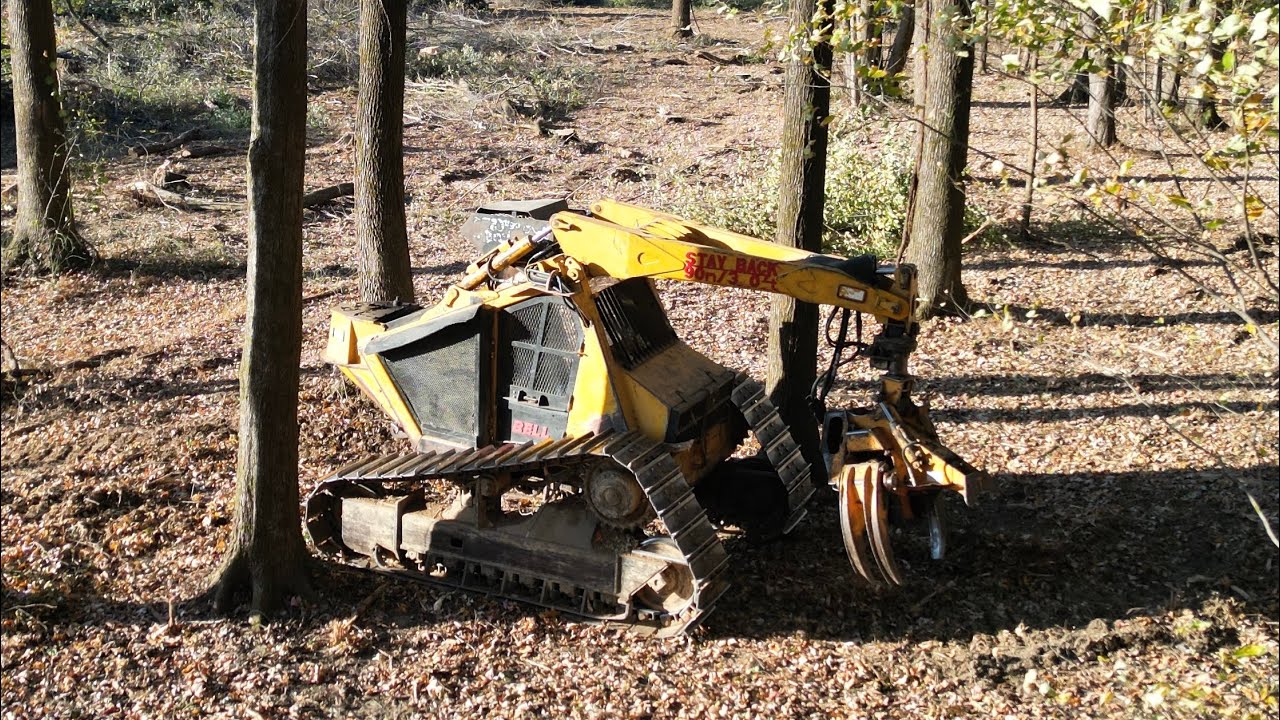 Bell Ultra C Tracked Feller Buncher - working flat ground, cutting big hardwood! 