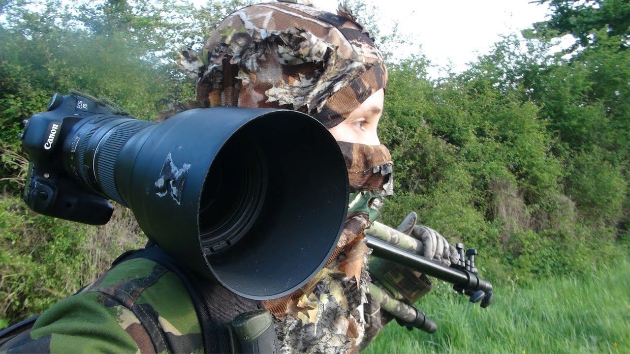 ROE DEER PHOTOGRAPHY | wildlife vlogs | wildlife photography behind the scenes.