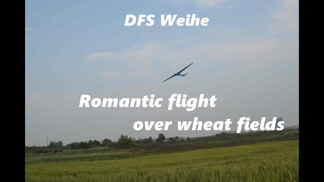 Experience the Elegance: DFS Weihe 1:6 Glider Model Airplane Soars | Tony Ray's RC Airplane Model