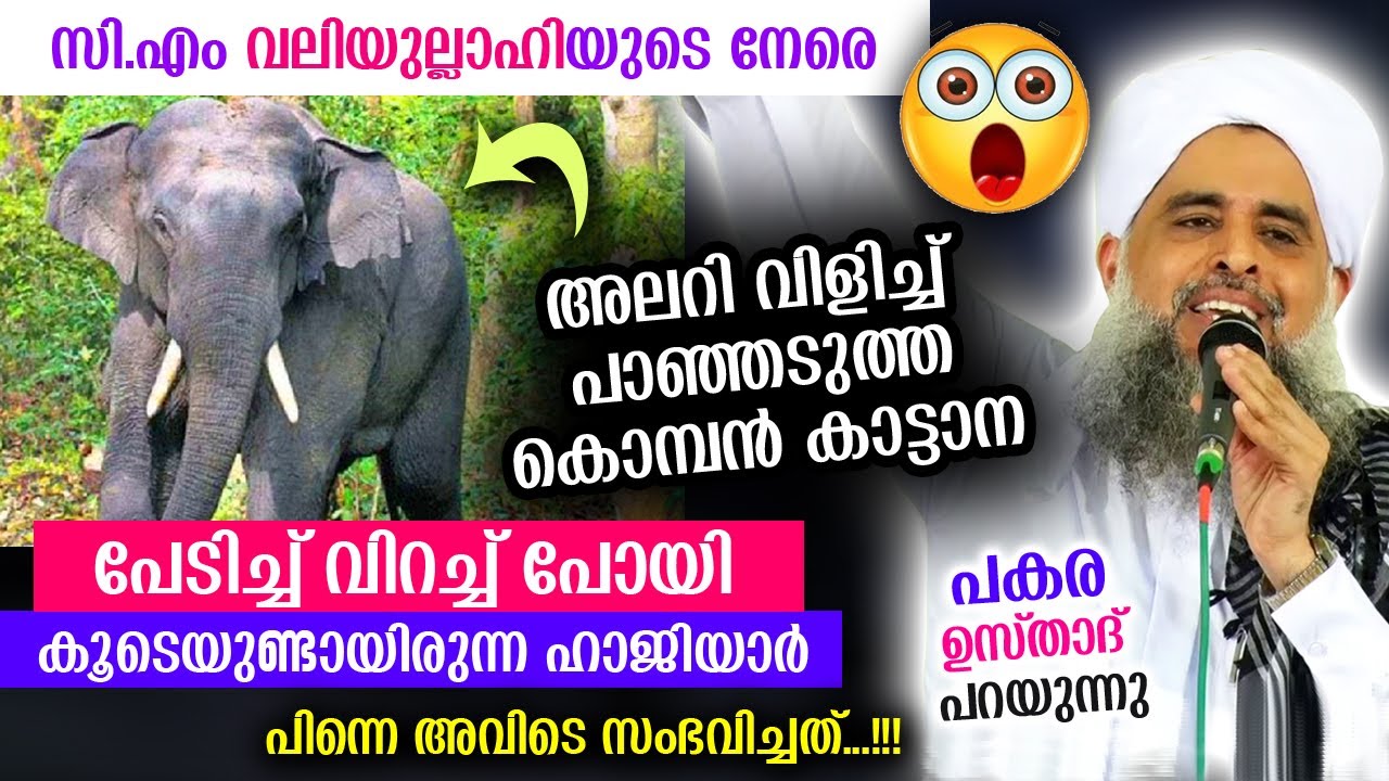 കൊമ്പൻ കാട്ടാന അലറി വിളിച്ച് സി.എം വലിയുല്ലാഹിയുടെ നേരെ | Pakara Usthad |  CM Valiyullahi speech