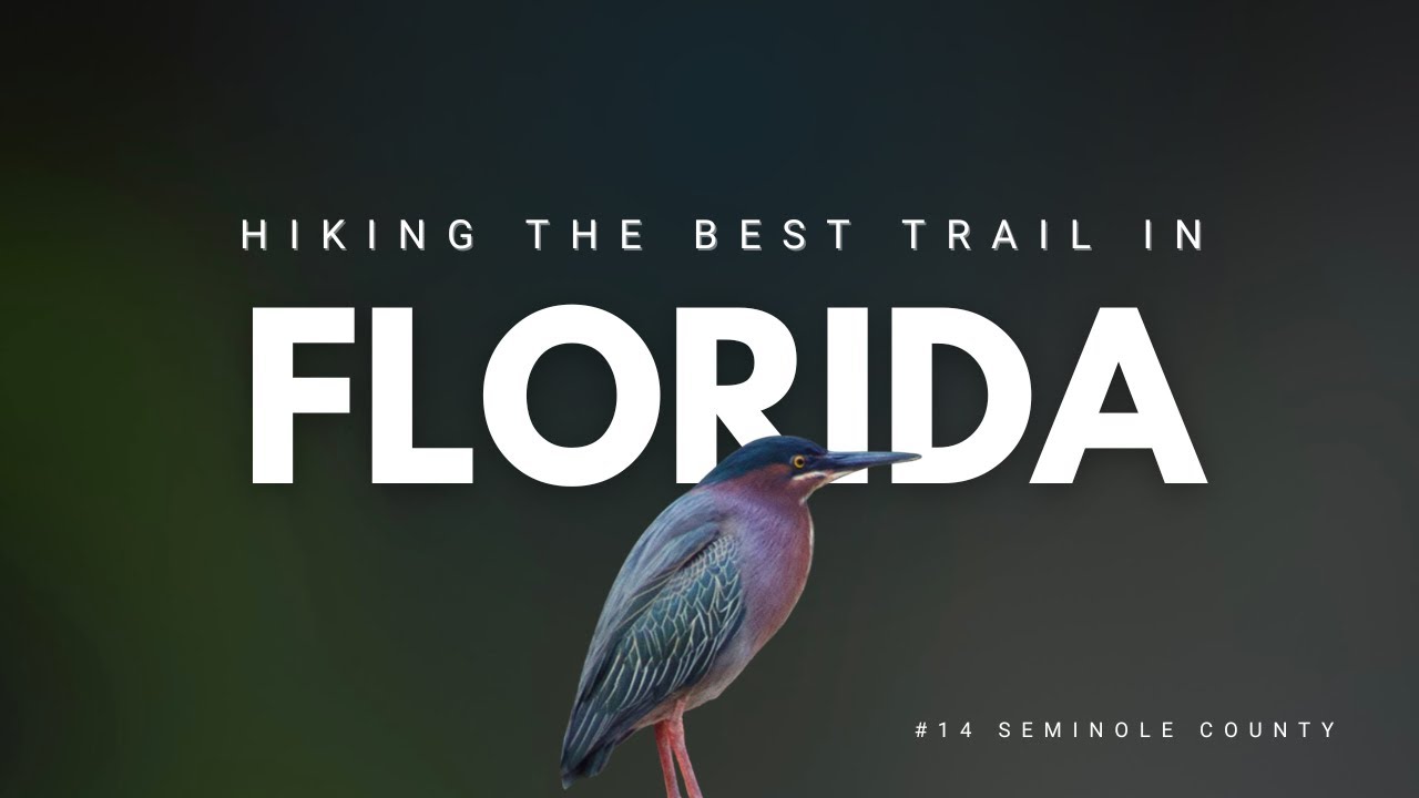 HIKING THE BEST TRAIL IN FLORIDA (#14 Seminole County)