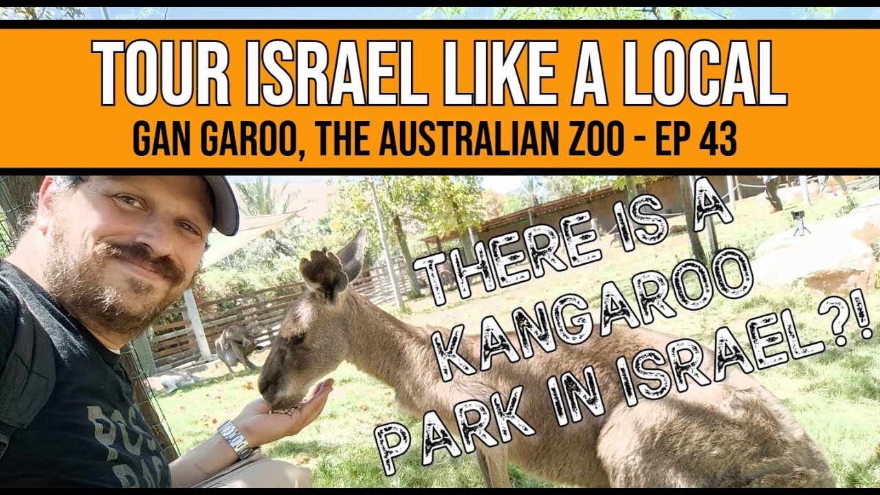 There is a Kangaroo Park in Israel?! - Ep43 #043