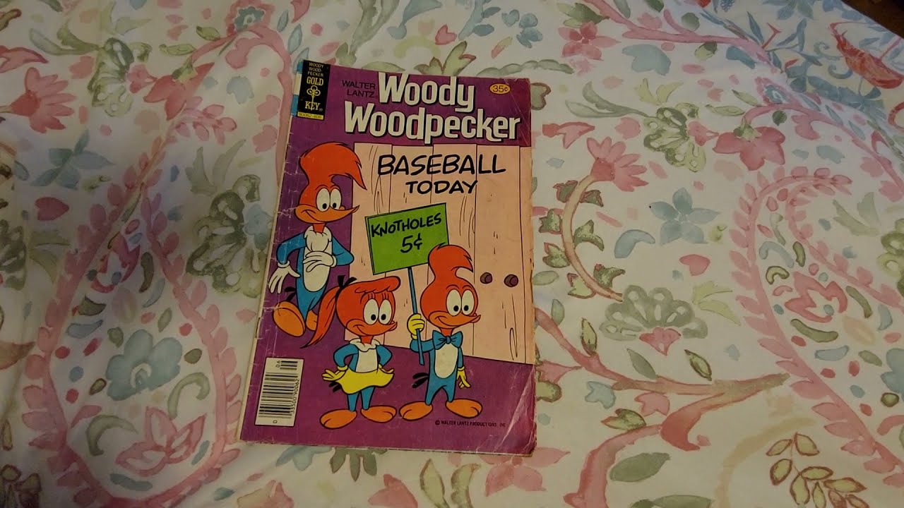 Woody Woodpecker comic book No. 167 Gold Key [June 1978]