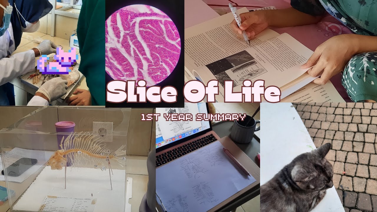 freshman year summary: lab practical, final exam, cramming, trip with my family