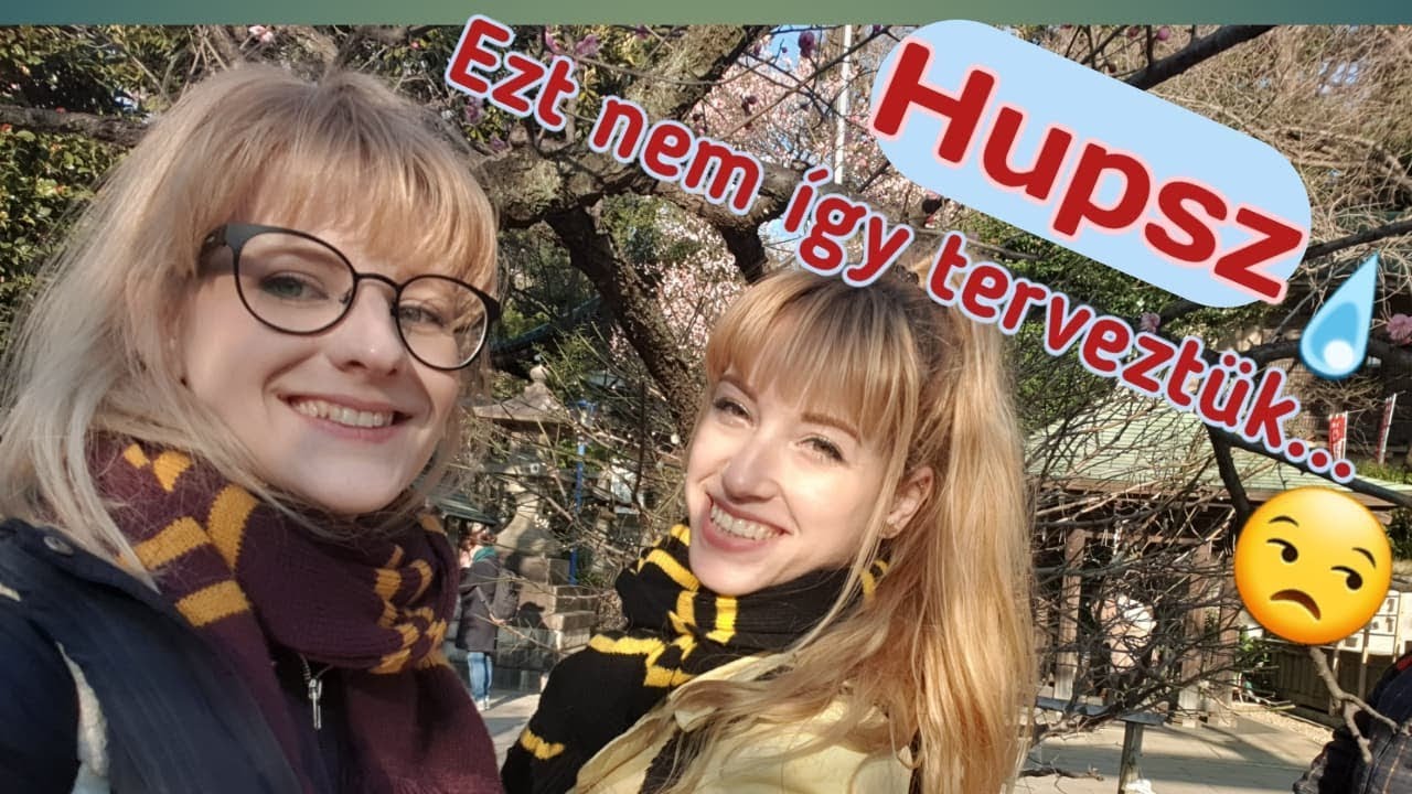 Füstbe ment terv