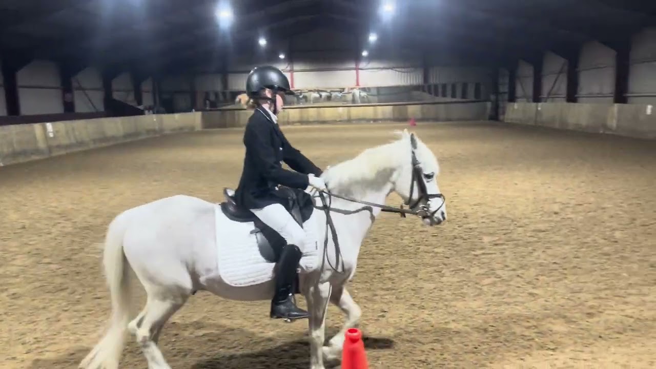 Martha & Daylight Storm Introductory 2 