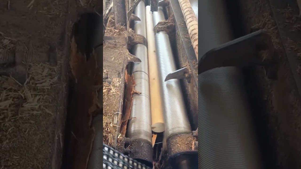 Automatic Log Peeling Efficient Wood Bark Removal with Advanced Machinery