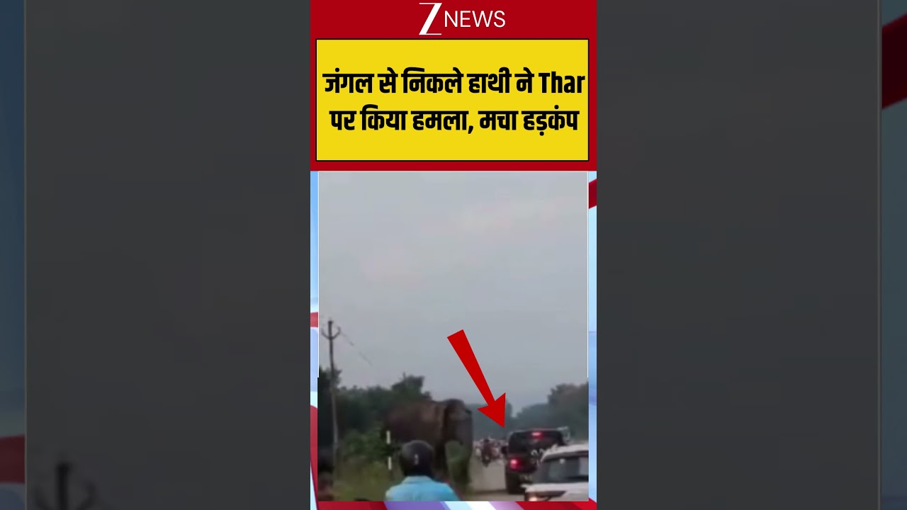 Viral Shorts: An elephant from the forest attacks a Thar, causing panic! Viral Video | zee