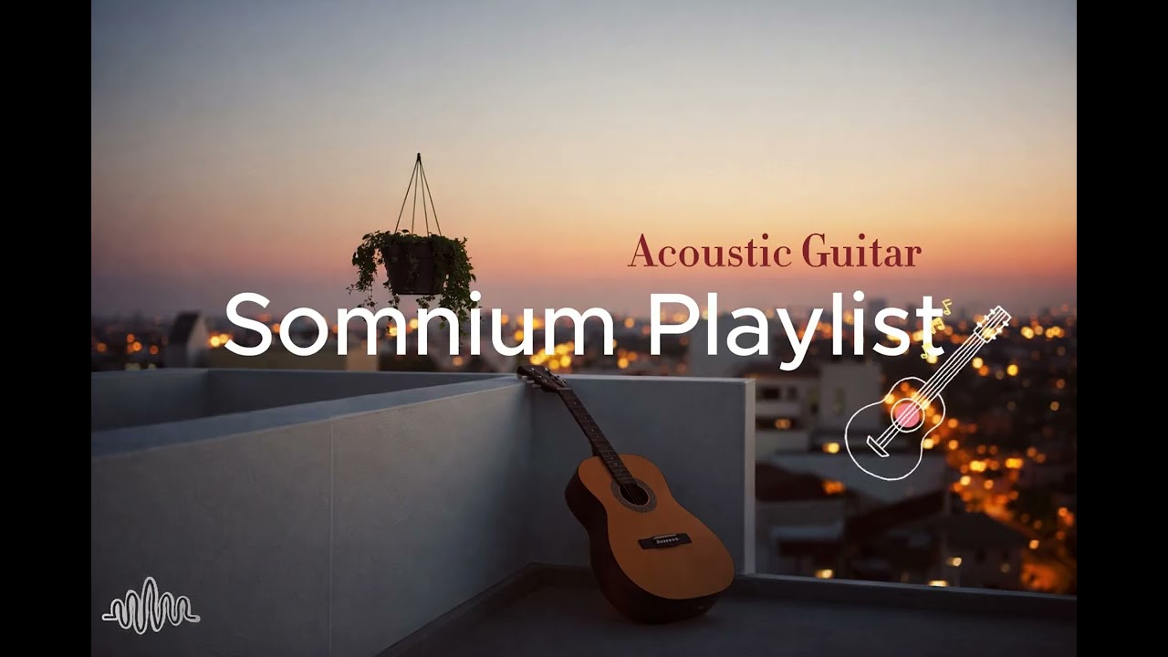 [playlist] 🌳 부드러운 어쿠스틱 기타🎸연주가 가져다주는 편안함😌 (study,work,relax)