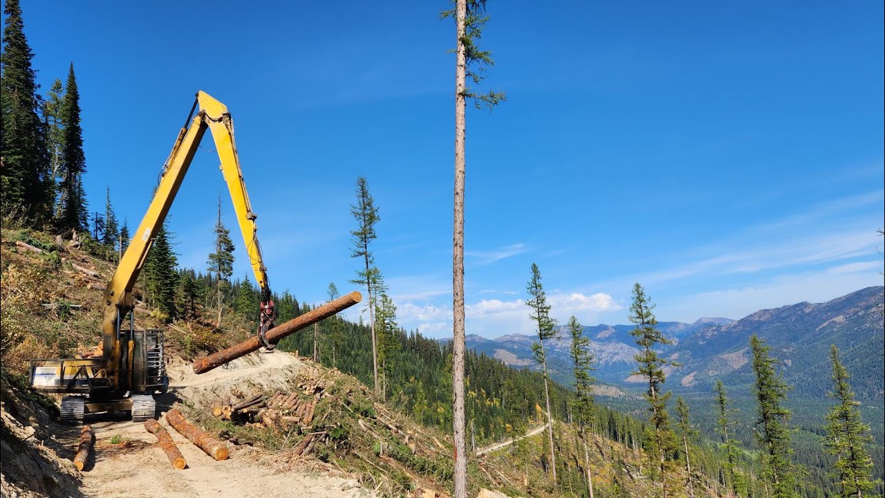 Montana Logging Part 3!