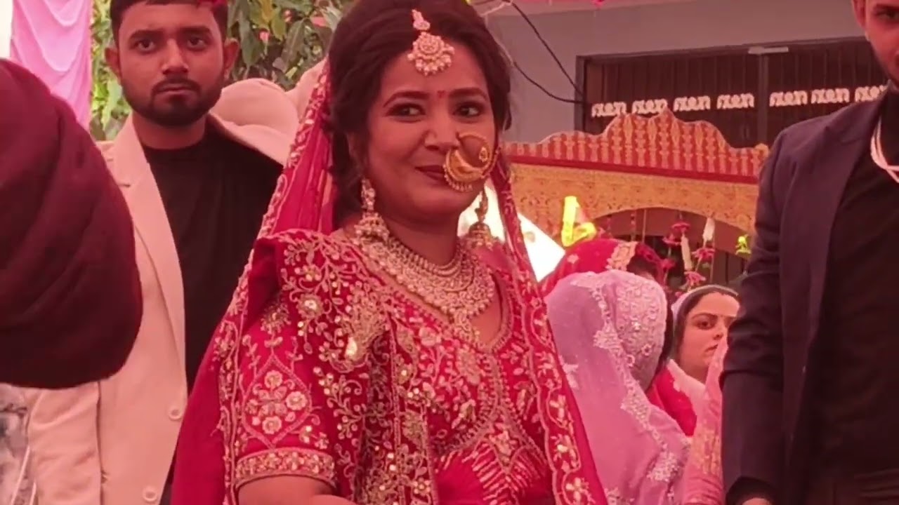 शादी और बारात का लिया मजा