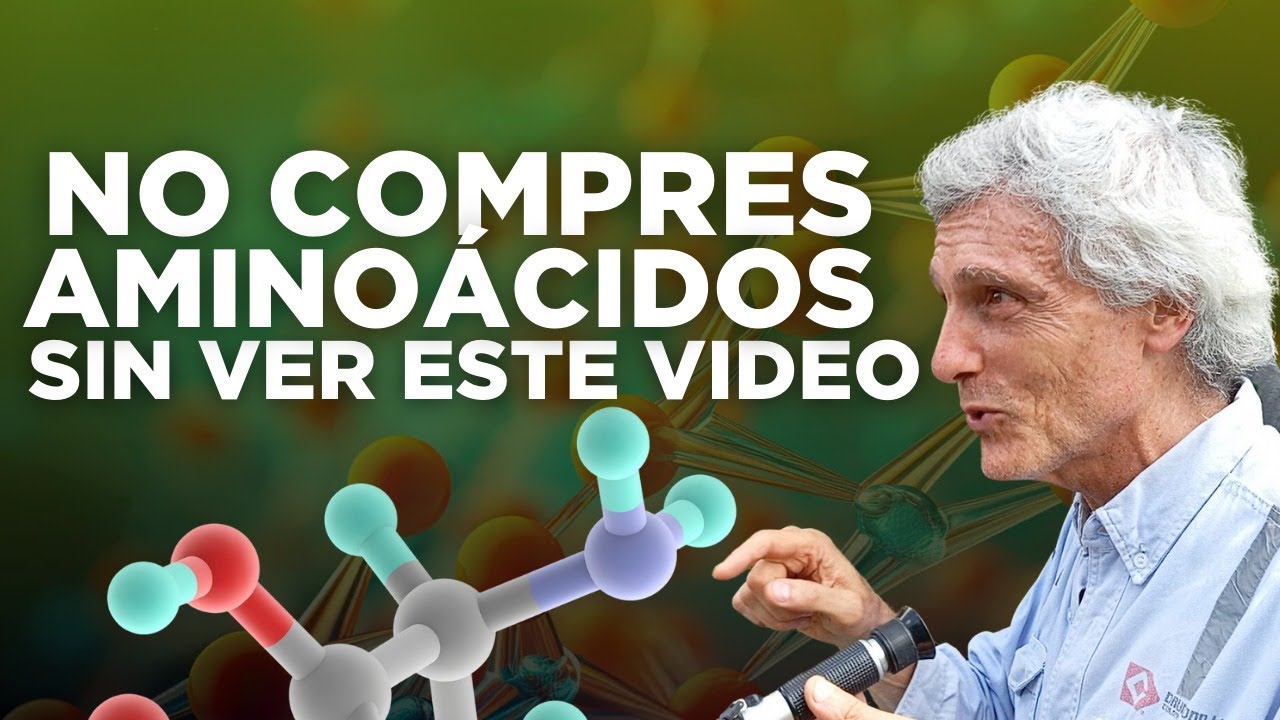 Si quieres comprar aminoácidos mira primero este video