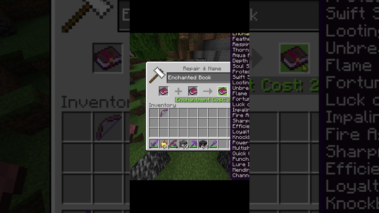 This Enchanted Book Has All Enchantments In Minecraft (mostly)  #minecraft #gaming