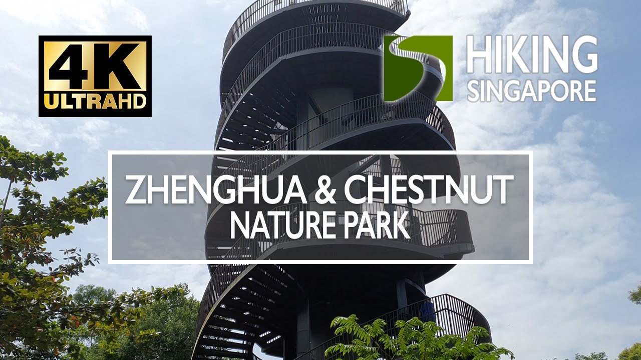 Zhenghua Nature Park & Chestnut Nature Park - Hiking Singapore - 4K HDR