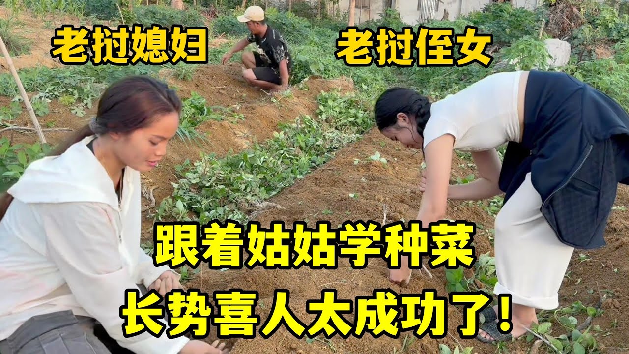在老撾農村開荒種菜，下場大雨長勢喜人，老撾侄女學的有模有樣！