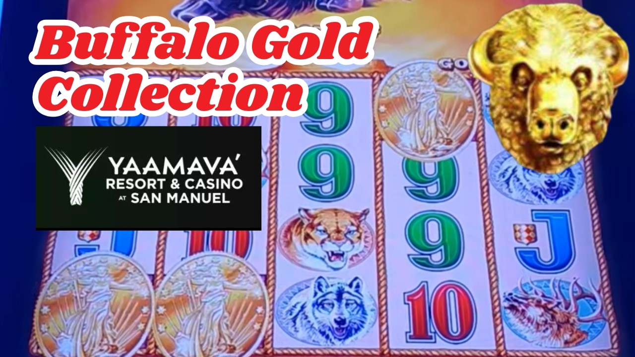Buffalo Gold Collection Live Play