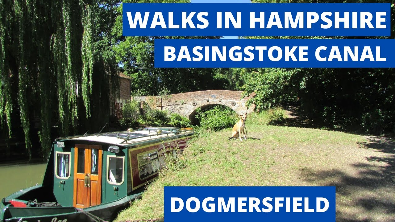 WALKS IN HAMPSHIRE ; BASINGSTOKE CANAL (DOGMERSFIELD)
