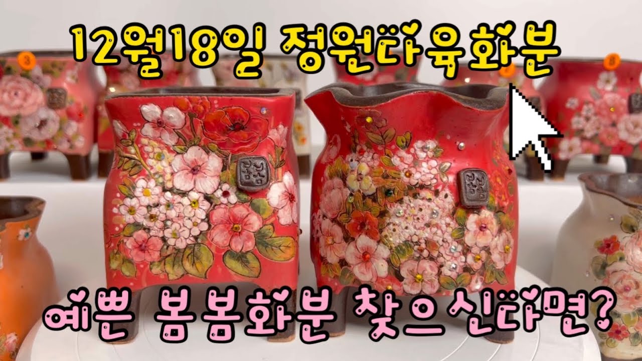 12월 19일 예쁜봄봄화분 찾으신다면 정원다육화분!!#정원다육화분 #봄봄화분 #수제공방분 #다육화분