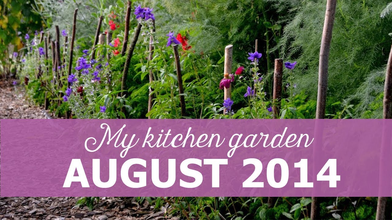 My kitchen garden - the summer of 2014
