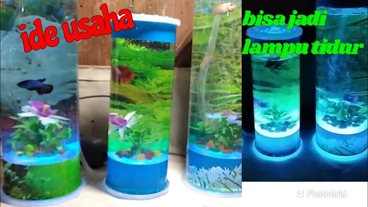 IDE USAHA!!! Aquarium tabung dari mika