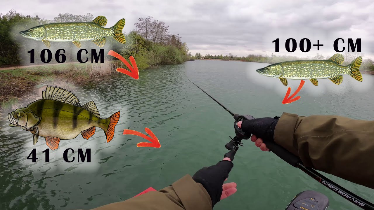 15m de FOU ! Les GROS poissons sont de SORTIE !
