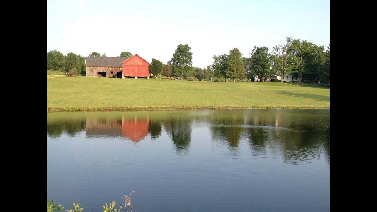 Farm house Estate for sale- 45 acres, near Rochester NY  (Canadice)