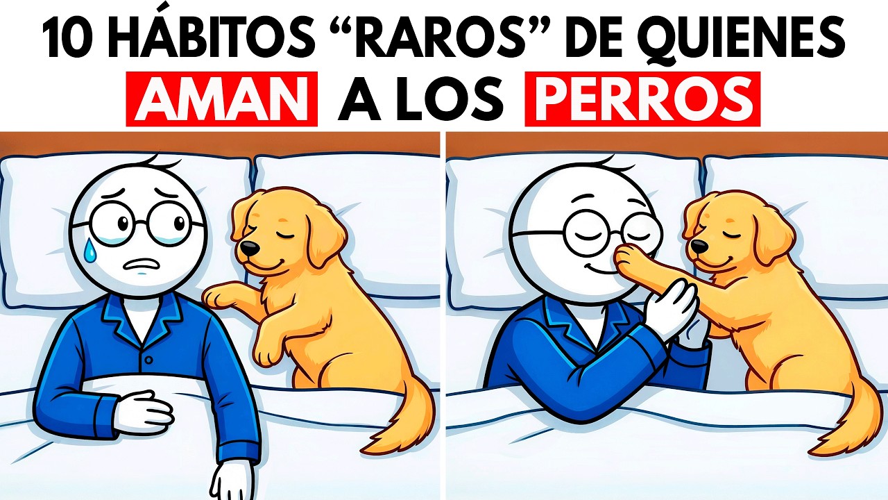 10 HÁBITOS RAROS de las personas que AMAN a los PERROS (psicología)