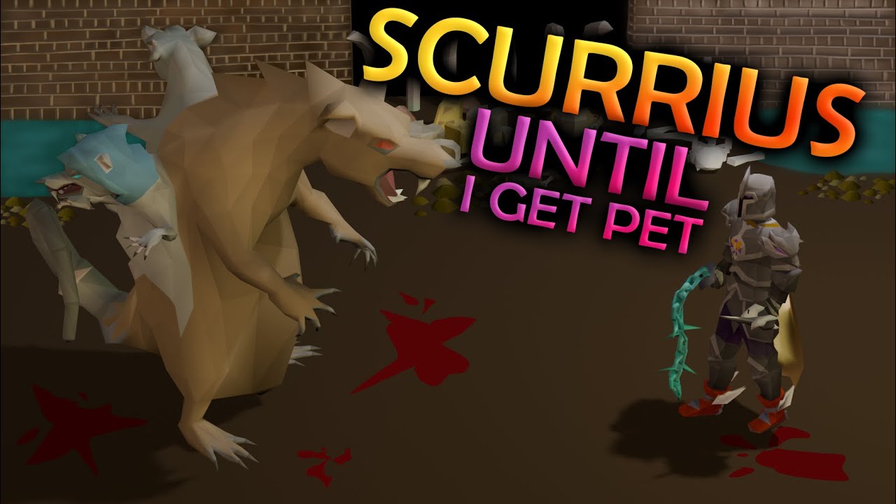 Killing Scurrius Until I Get The Pet