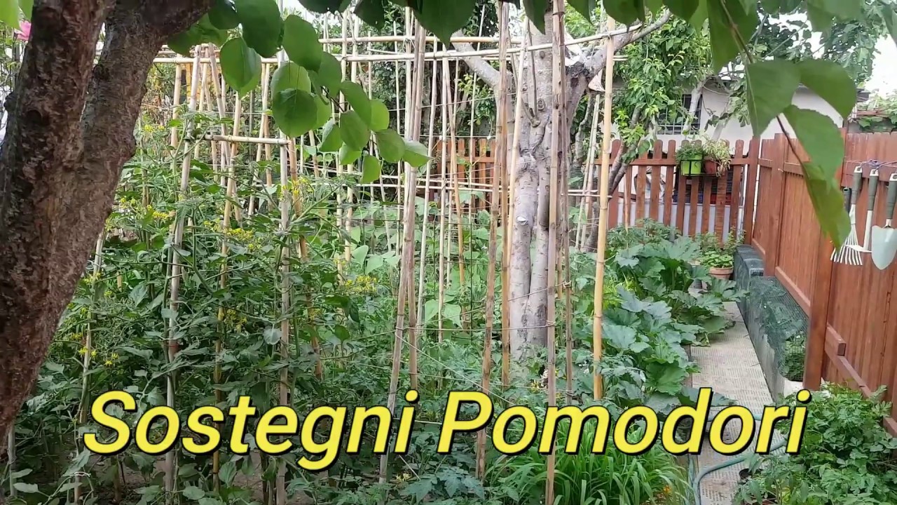 SOSTEGNI POMODORI