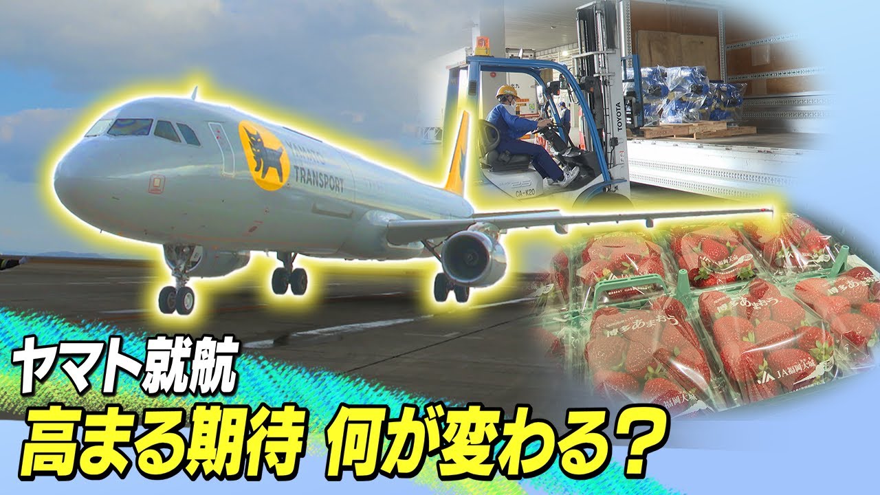 ヤマトグループの貨物専用機　北九州空港に就航　高まる期待　青果や製品をさらに早く