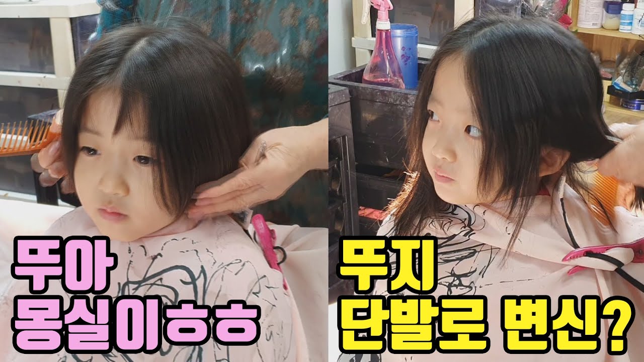뚜지 단발로 변신??? 아빠 빼고 엄마랑 데이트~❤ 머리도 자르고 고양이카페도 갔어요 [일상 브이로그]