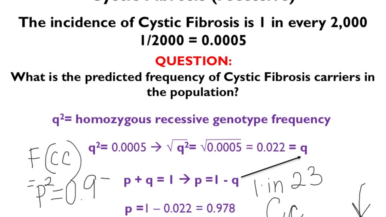 Apply Hardy-Weinberg Equation