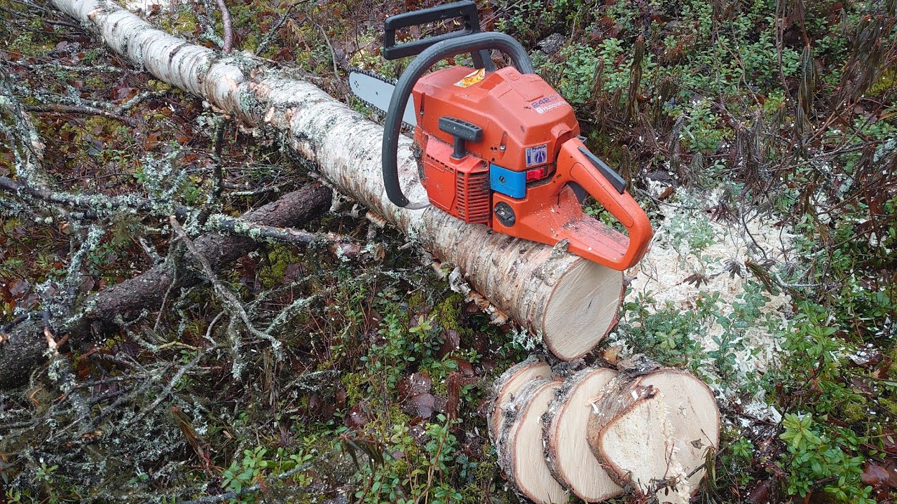 Husqvarna 242XP lyhyt esittely ja leikkuuteho