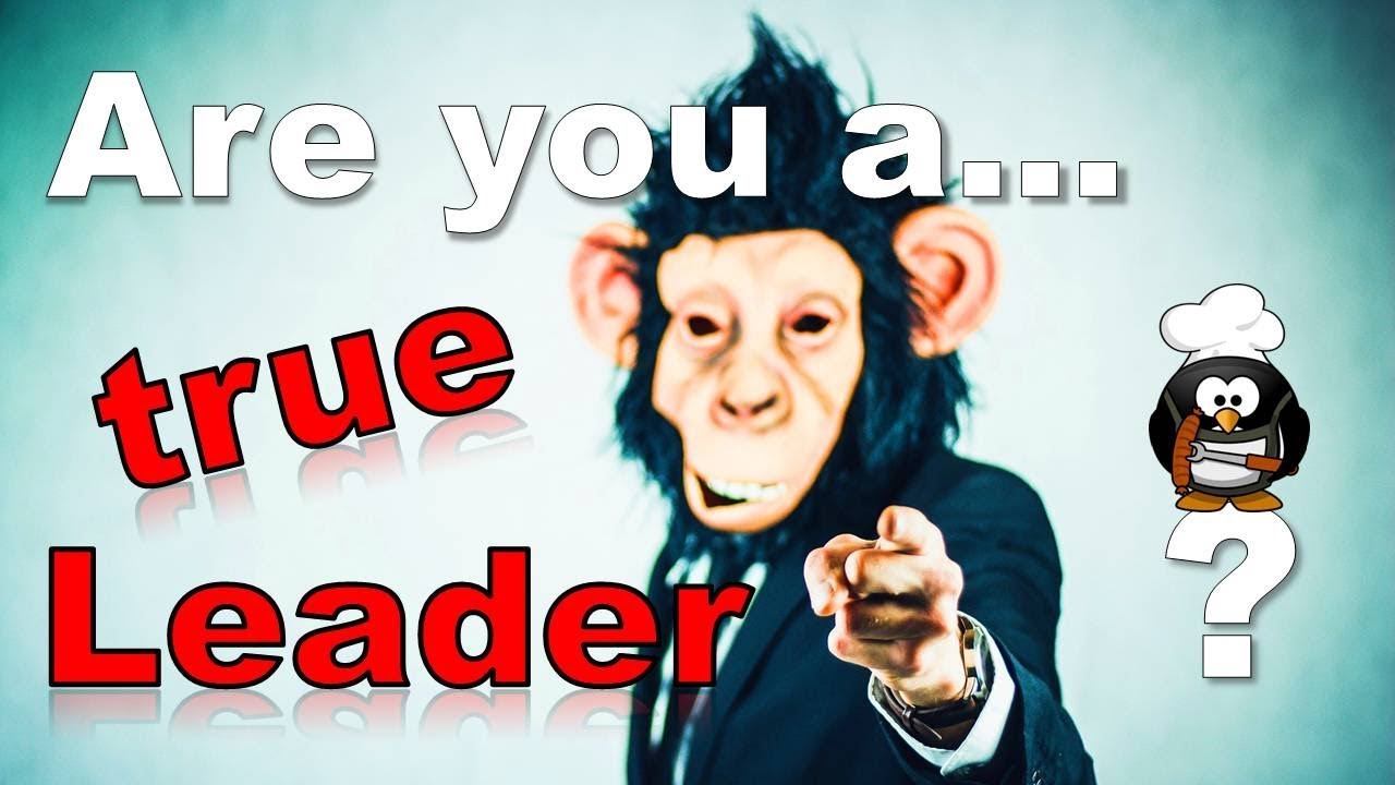 ✔ Are You A True Leader? - Personality Test