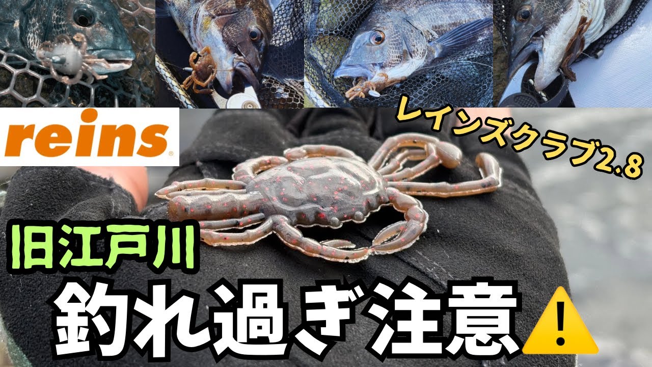 【東京湾奥チニング】初心者にもおすすめ！マジで釣れすぎ注意の最強ワームin旧江戸川