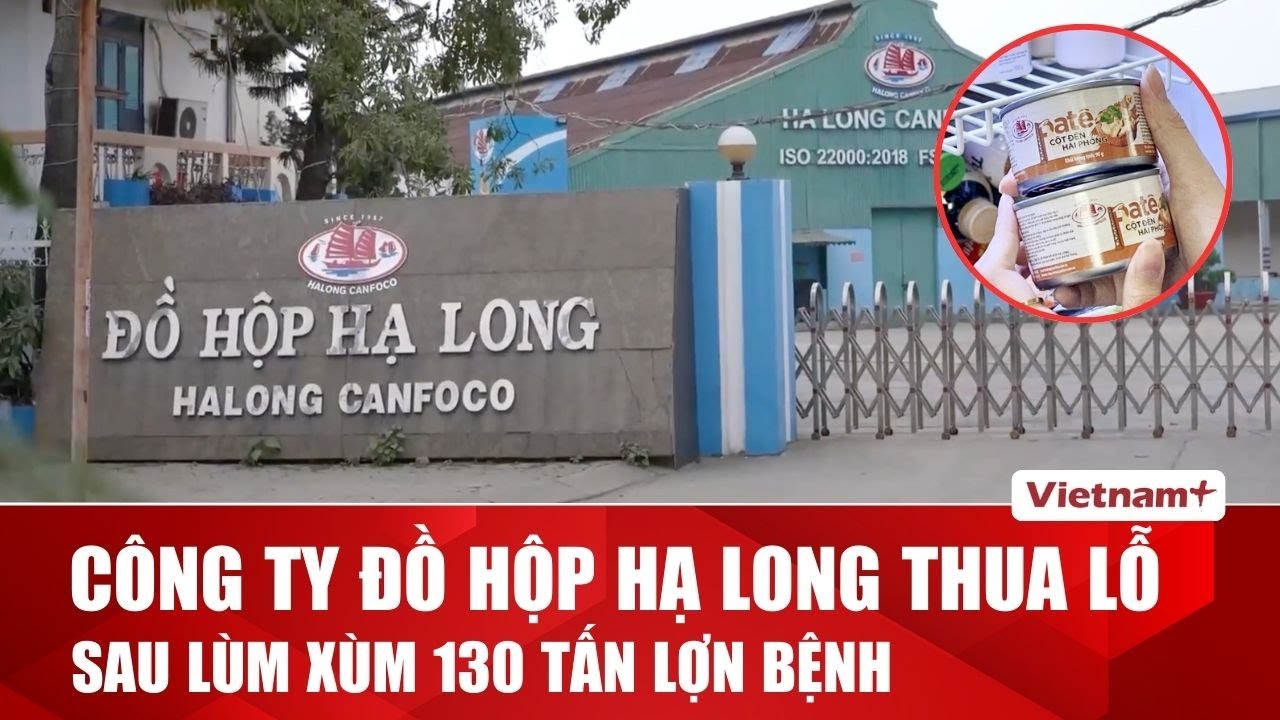 Công ty Đồ hộp Hạ Long thua lỗ nặng nề sau “lùm xùm” 130 tấn lợn bệnh
